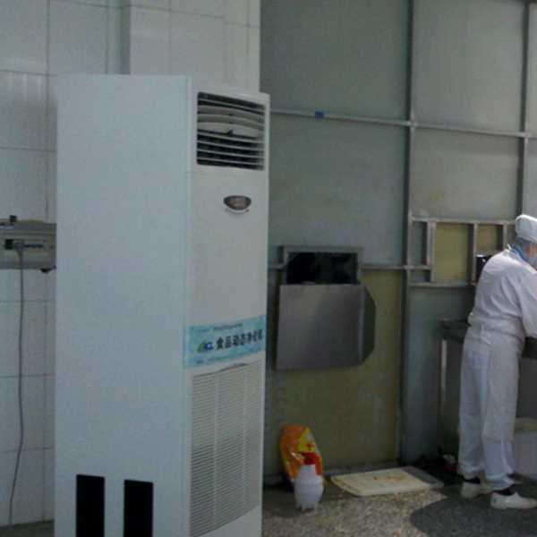 五指山食品正负离子空气杀菌器